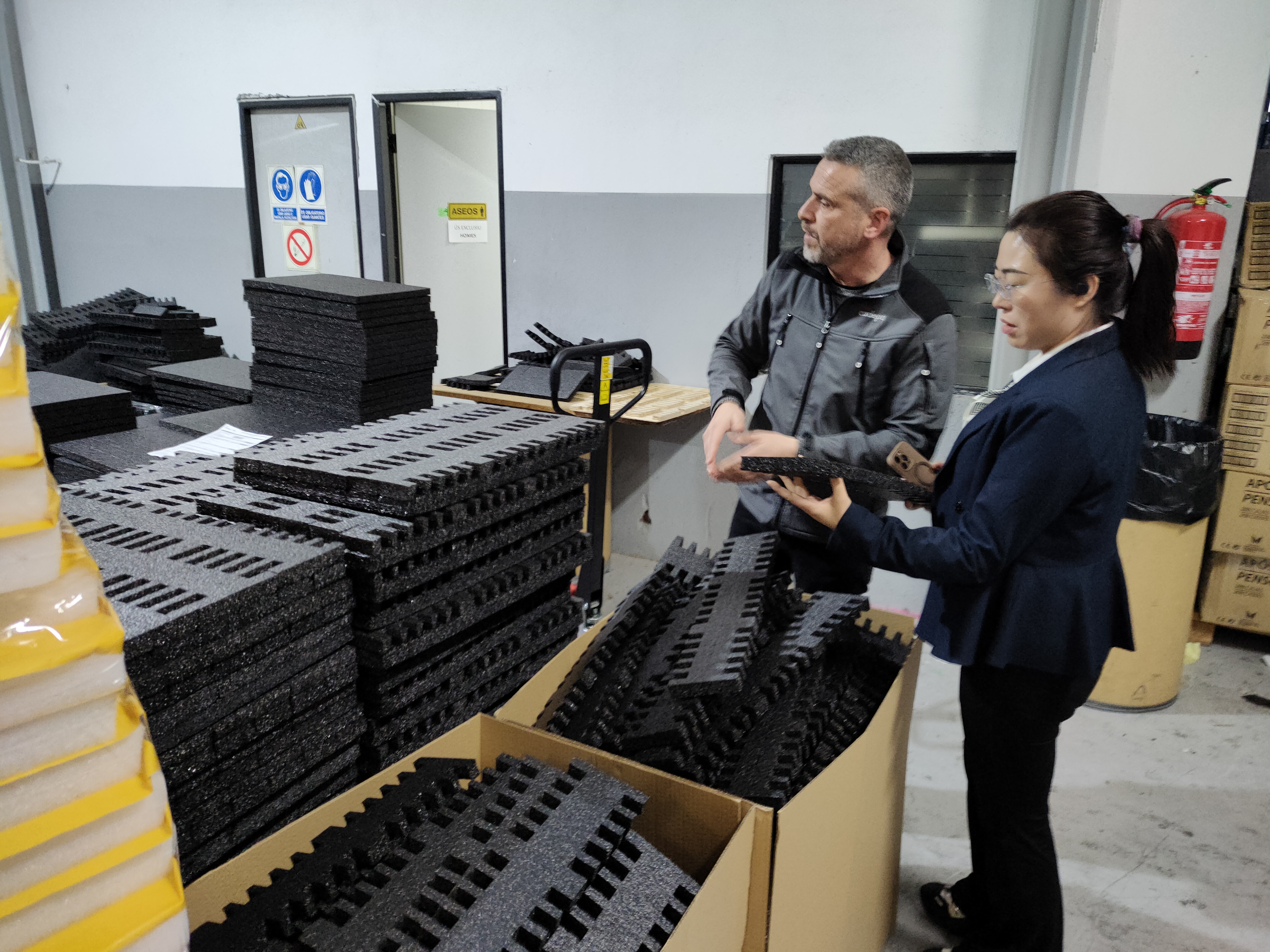 Modular Liners for Automotive Package