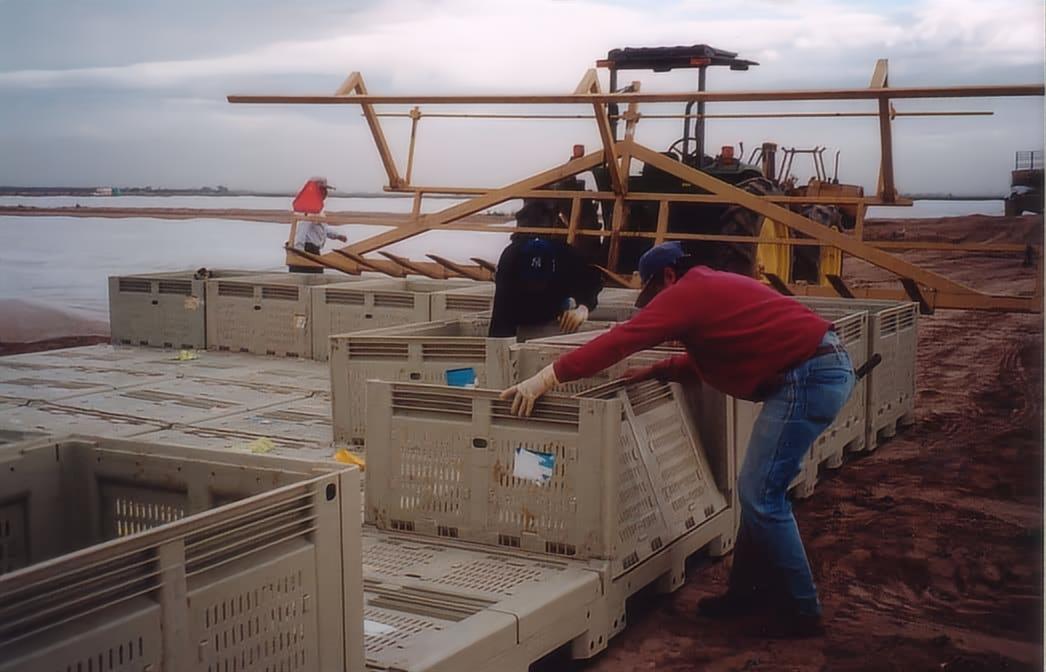 folding harvest bins