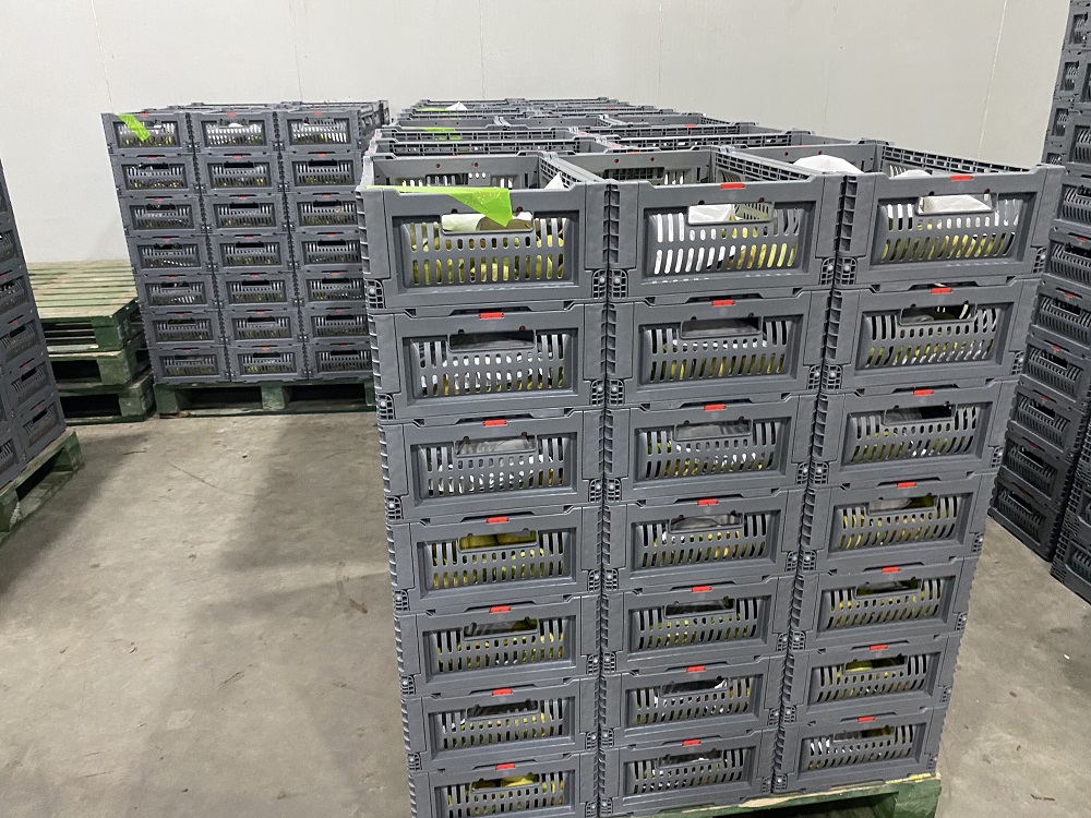 stackable plastic crates for fruit and vegetables