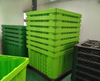 Plastic Pallet Bulk Container--Bulk Cargo Food And Agricultural Shipping Package Solution