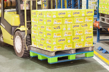 5 Reasons Why Plastic Pallets are the Superior Choice for Material Handling