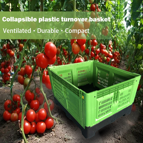 Demand Analysis Report for Plastic Pallets and Crates in the Agricultural Sector of South America and Mexico