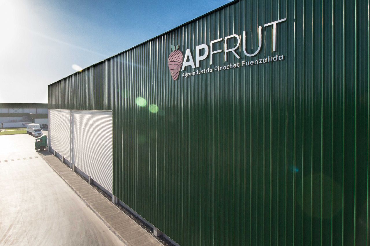 Plastic Fruit Container Supplier